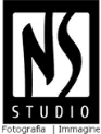 Logo ns studio